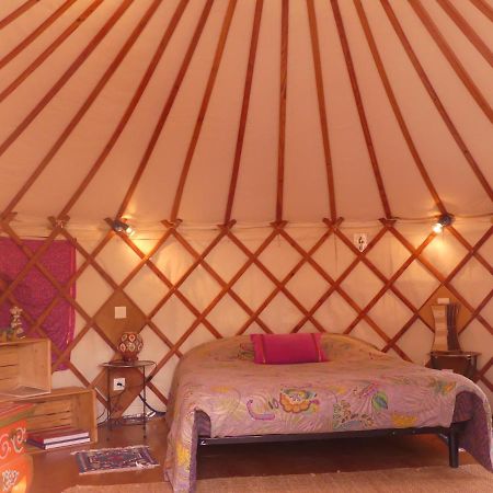 Les Yourtes D'Hotes Plouguiel 외부 사진